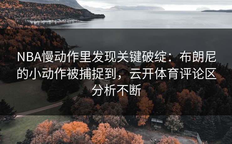 NBA慢动作里发现关键破绽：布朗尼的小动作被捕捉到，云开体育评论区分析不断